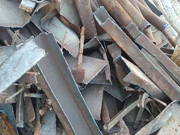 Toy car exploring offroad.