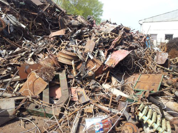 Toy car exploring offroad.