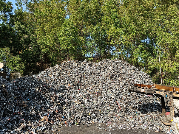 Toy car exploring offroad.